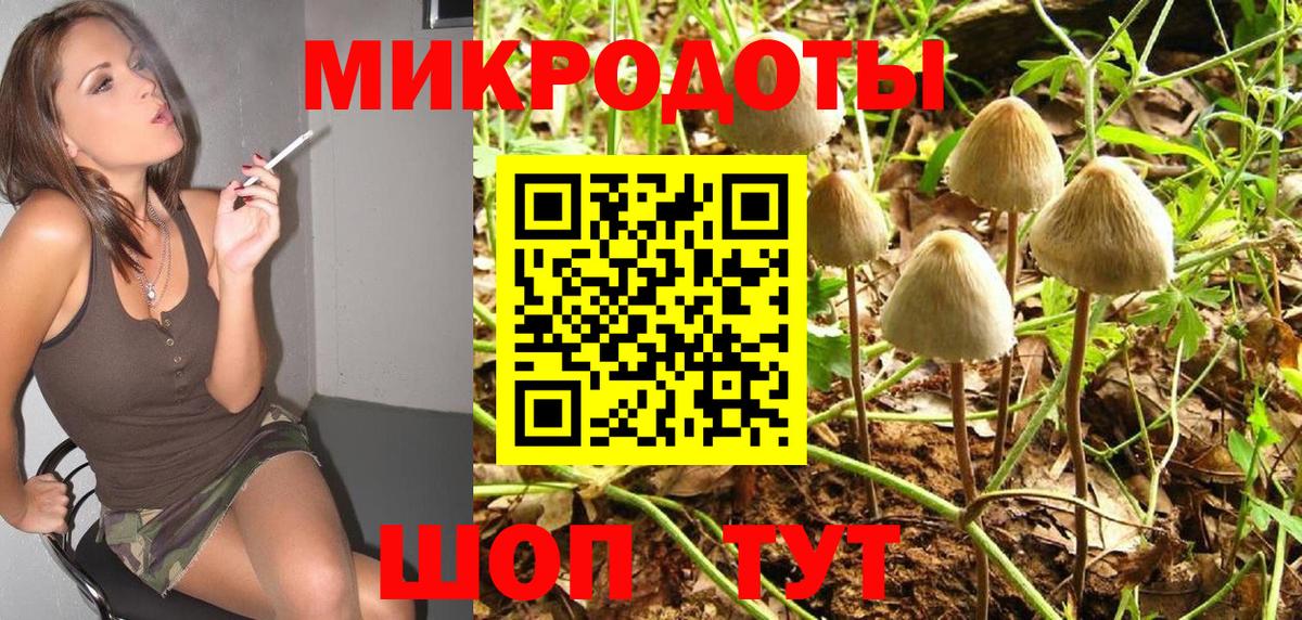 Грозный  Галлюциногенные грибы мицелий  Вход с VPN 