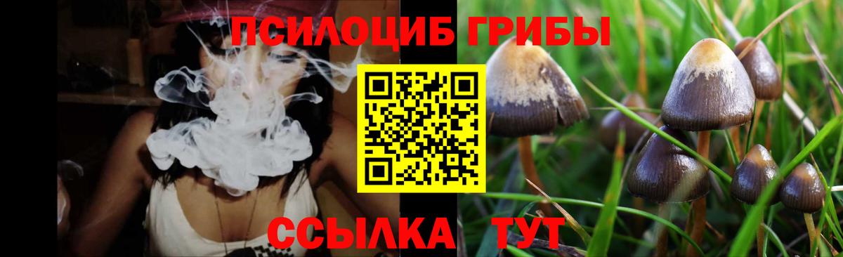 Галлюциногенные грибы ЛСД Грозный